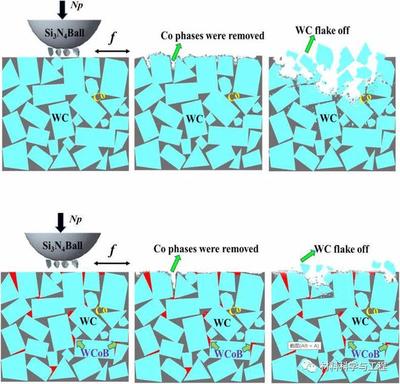 北工大《JAC》:提高WC-Co超粗晶硬質合金的耐磨性研究!